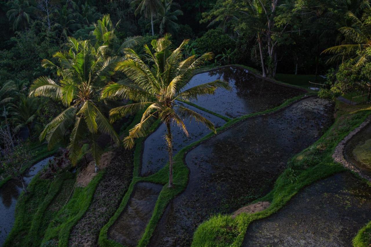 Komaneka At Bisma Ubud Exterior photo